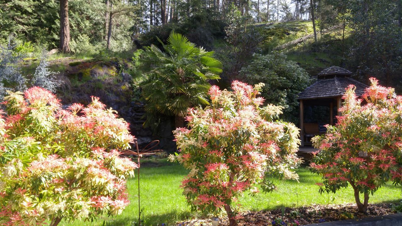 Sunshine Coast Treetop B&B Sechelt Bagian luar foto