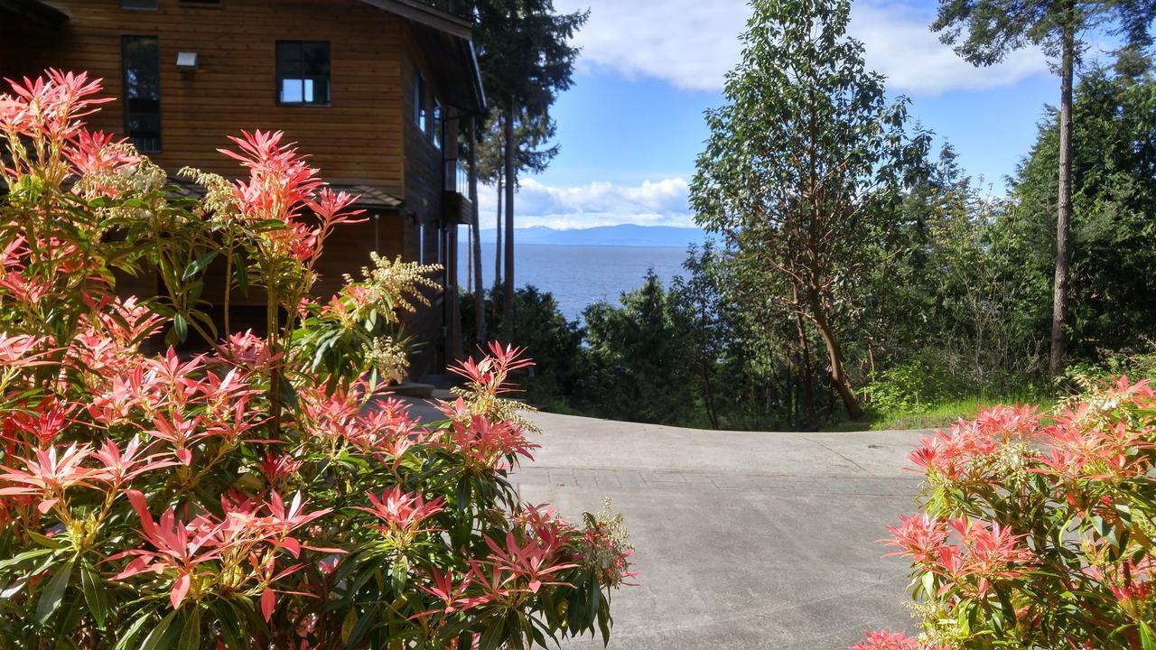 Sunshine Coast Treetop B&B Sechelt Bagian luar foto