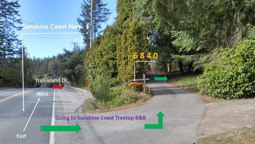 Sunshine Coast Treetop B&B Sechelt Bagian luar foto