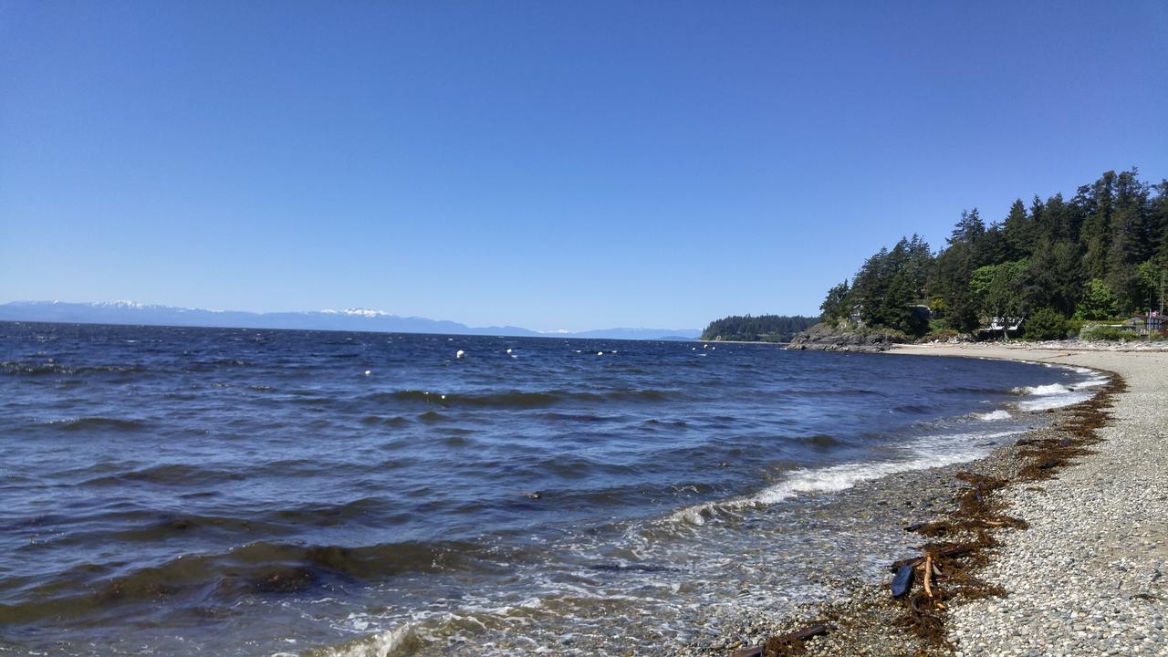 Sunshine Coast Treetop B&B Sechelt Bagian luar foto
