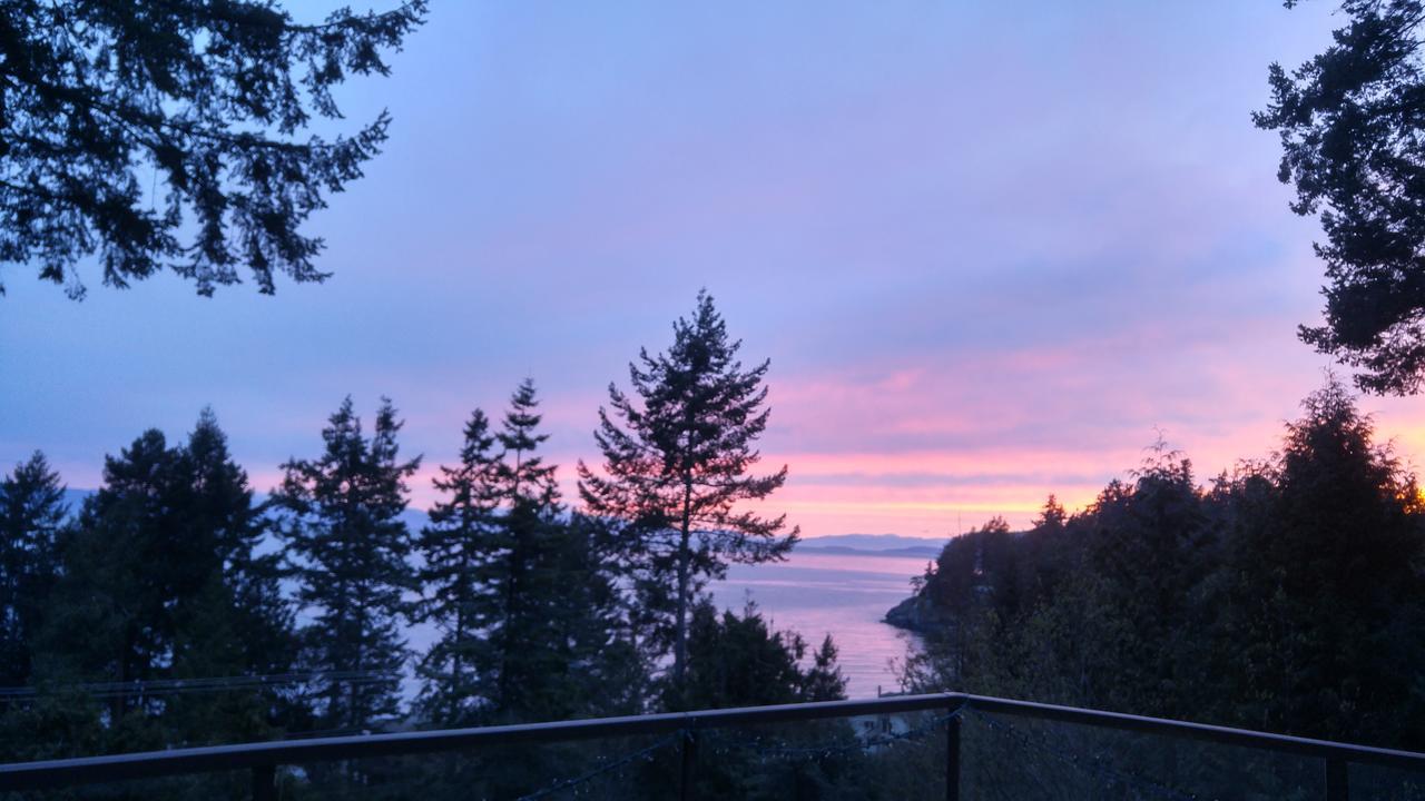 Sunshine Coast Treetop B&B Sechelt Bagian luar foto