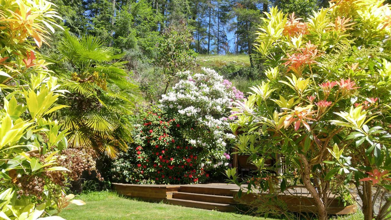 Sunshine Coast Treetop B&B Sechelt Bagian luar foto