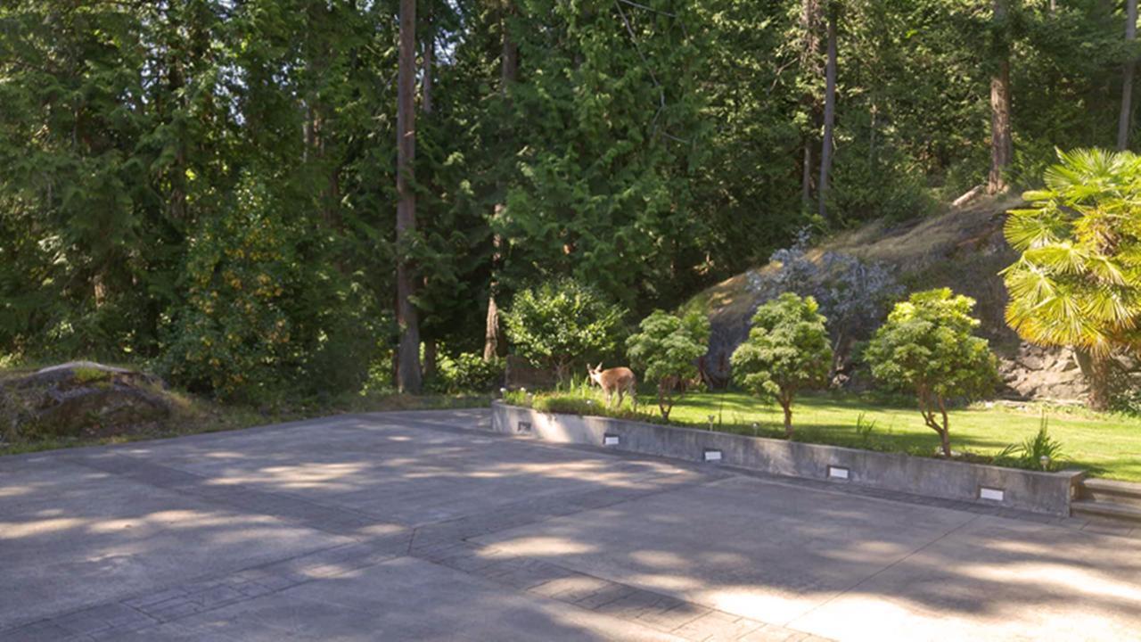 Sunshine Coast Treetop B&B Sechelt Bagian luar foto
