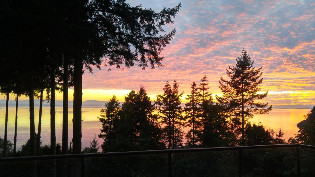 Sunshine Coast Treetop B&B Sechelt Bagian luar foto
