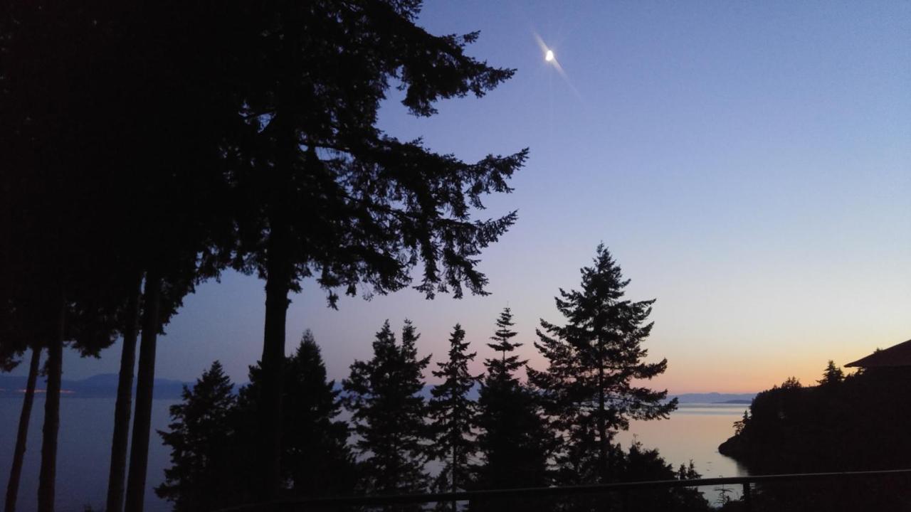 Sunshine Coast Treetop B&B Sechelt Bagian luar foto